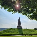 중앙탑면사무소 | 충주여행 중앙탑면막국수(충주맨)/충주박물관(스탬프선물)/중앙탑공원/수안보 무료족욕체험장