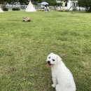 통영수영장 이미지