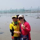 통발체험 Daum카페