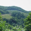 운상농장 이미지