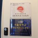 마젤헤어 이미지