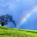 세파에 따르지    이미지