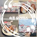 이차돌속초교동점 | 속초 디저트 맛집 두쫀쿠보다 딸기모찌 유라이스❤️