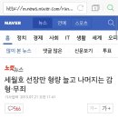 세월호 선장만 형량 늘고 나머지는 감형·무죄 이미지