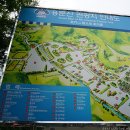 용문산관광지(야영장) 이미지