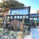 트리팜(TreeFarm)