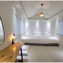 스테이 아델 이미지