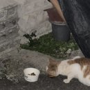 두량6리 이미지