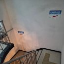 ST210 | [정자동맛집] 집밥ST 청국장 한식 맛집 봄날에청국장