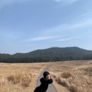 사구해수욕장2 | 태안여행 가서 인생샷 많이 건졌던 "해식동굴" "신두리해안사구" 후기