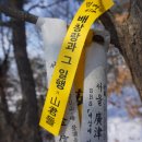 남동95 이미지