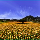 낙동강변 축구장 2 이미지