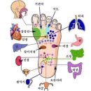 발건강마사지 네이버블로그