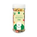 와이즈 이미지