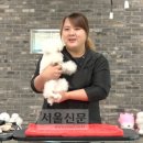따라 애견학교 이미지
