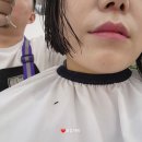 두울살롱 구래점 | 김포 구래동 미용실 두울살롱 숏단발펌 임산부염색 파마 발레아쥬장인 지호원장