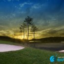 학장블루클럽 이미지