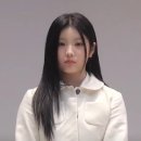 푸들밥