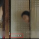 진세노