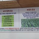 썬일가든 이미지