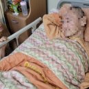 온요양병원 이미지