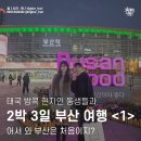 삼성고속관광세차장 | 태국 방콕 현지인 동생들과 2박 3일 부산 여행 [1] ｜ 어서 와 부산은 처음이지!?