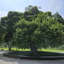 성주아구찜 이미지