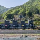 카누720애견풀빌라 이미지