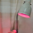 신세계 재활의학과 이미지