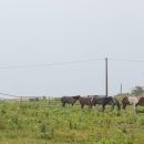 김용우 행정사 이미지