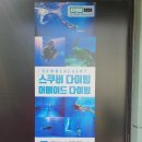 채널아이