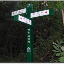 한백주 Daum카페