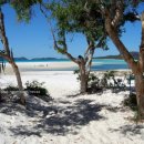 하얀천국 이미지