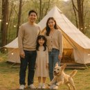 용인 애견동반 글램핑, 2025년 가족여행 인기 스팟 완벽 가이드
