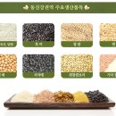 알콩쌀콩