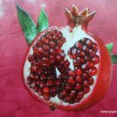 청춘식품 이미지