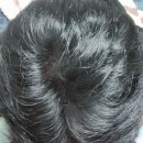 정등에너지 | 피나온정 효과