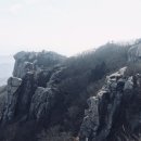 달마상사 이미지
