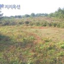 표선면-11 이미지