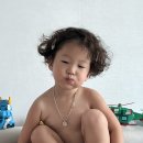 비요헤어