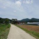 용암천변길 이미지