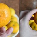 생규농장 이미지