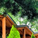 초록숲도서관 이미지