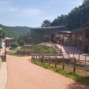 둥지휴양림 이미지