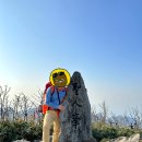 뿌리민박 이미지