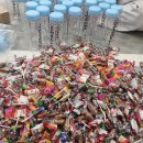 금곡태권도장 이미지