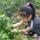 튼튼이농장 이미지