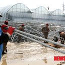 월호농장 이미지