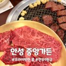 중앙-9 | 안성한우 공도맛집 중앙가든에서 9등급 생고기모듬 먹은 후기