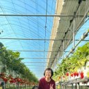 이슬농장2 이미지